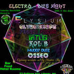 Electro-Dub Night