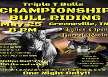 Championship Bull Riding!!