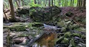 Rock Walk II, Geology of Barnum Creek Nature Reserve