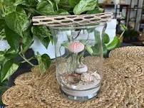 Make + Take: Under the Sea Air Plant Terrarium