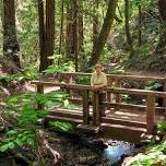 Fallen Bridge Trifecta Hike