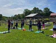 Yoga in the Vineyard