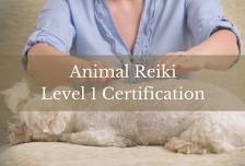 Animal Reiki Level I Certification With Jessica