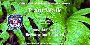 Plant Walk