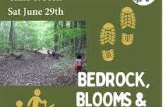 Hike & Seek: Bedrock, Blooms, & Blueberries at Little Black Mountain