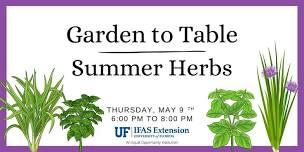 Garden to Table: Summer Herbs