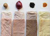 Natural Dye Workshop