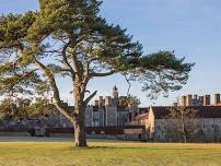 Nature Park Walk at Knole - Great Big Green Week 2024