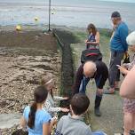 Teach on the Beach