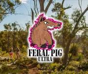 The Feral Pig Ultra