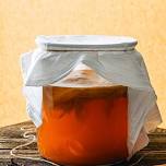 Kombucha & Other Fermented Beverages for Digestive Health