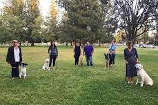 Basic 1.0/ Puppy class