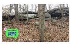 NLGP Walk/Talk/Meet/Eat in Bates Woods