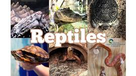 End of Summer Reading Party w/ Reptiles