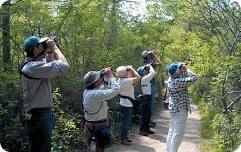 Bird Walk with Ken Grant