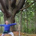 Yoga in the Forest