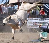 Spring Fever Days Bulls, Broncs, & Barrels