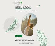 Gentle Yoga - FOURTH Saturday of each month!