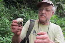 Fungi Foray in Beebe Woods with Larry Millman