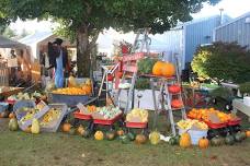 Country Chicks Fall Market