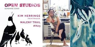 Open Studios Sunshine Coast - Maleny