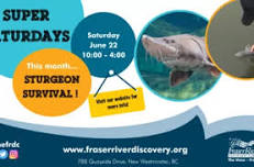 Super Saturday – Sturgeon Survival!