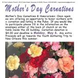 Mother's Day Carnations