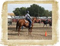 Summer Series Group Lessons - Equitation Patterns