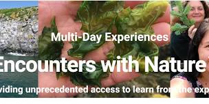 Sign up now for multi-day experiences at Huntsman