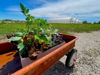 Spring Plant Sale