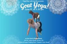 Goat Yoga at Chicks and Goats Trading Post