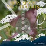 New Moon Yin, Tea + Transits