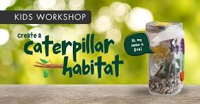 Kids Workshop: Create a Caterpillar Habitat