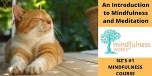 An Introduction to Mindfulness and Meditation 4-Week Course — Kapiti