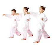 FREE Introduction to Kids Martial Arts