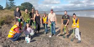 MOWS & Coast Care Dune Planting Working Bee