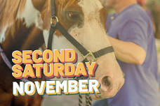 Second Saturday • Joy Meadows