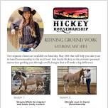 Refining Groundwork Clinic - Hickey Horsemanship