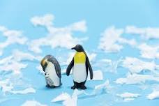 Mini Explorers - Antarctica