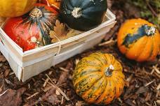 Fall Garden Planning: NLHG of Muskogee County, OK 6:30pm CST