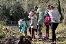 Foothills Family Nature Walk