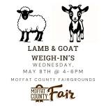 Lamb & Goat Weigh-In's