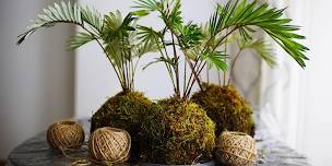 Made by you! Kokedama Workshop