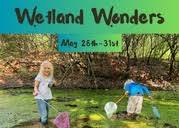 Wetland Wonders Sr. Camp