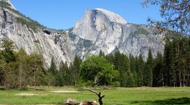 Fresno to Yosemite Private Shuttle Service