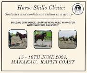 Horse Skills Clinic