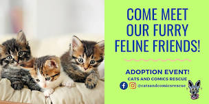 Cats & Coffee!! - Adoption Event @ Fika Fika Coffee/H-Mart shopping center