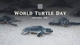 WORLD TURTLE DAY