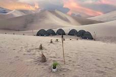 Huacachina Camping: Sandboarding Adventure