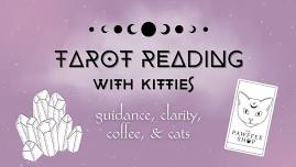 SOLD OUT- Tarot Reading With Kitties